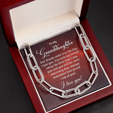 To My Granddaughter, You took my breath away the first time I saw you-Forever Linked Necklace - Custom Heart Design